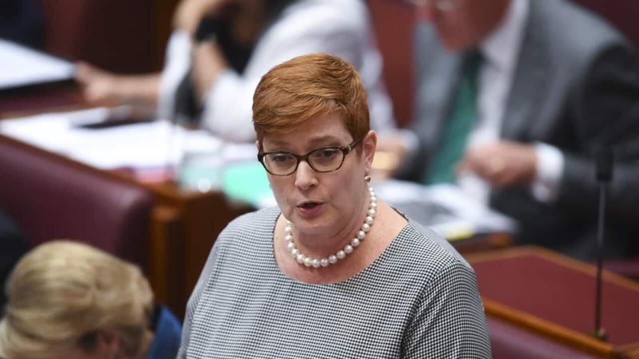 Foreign Minister Marise Payne
