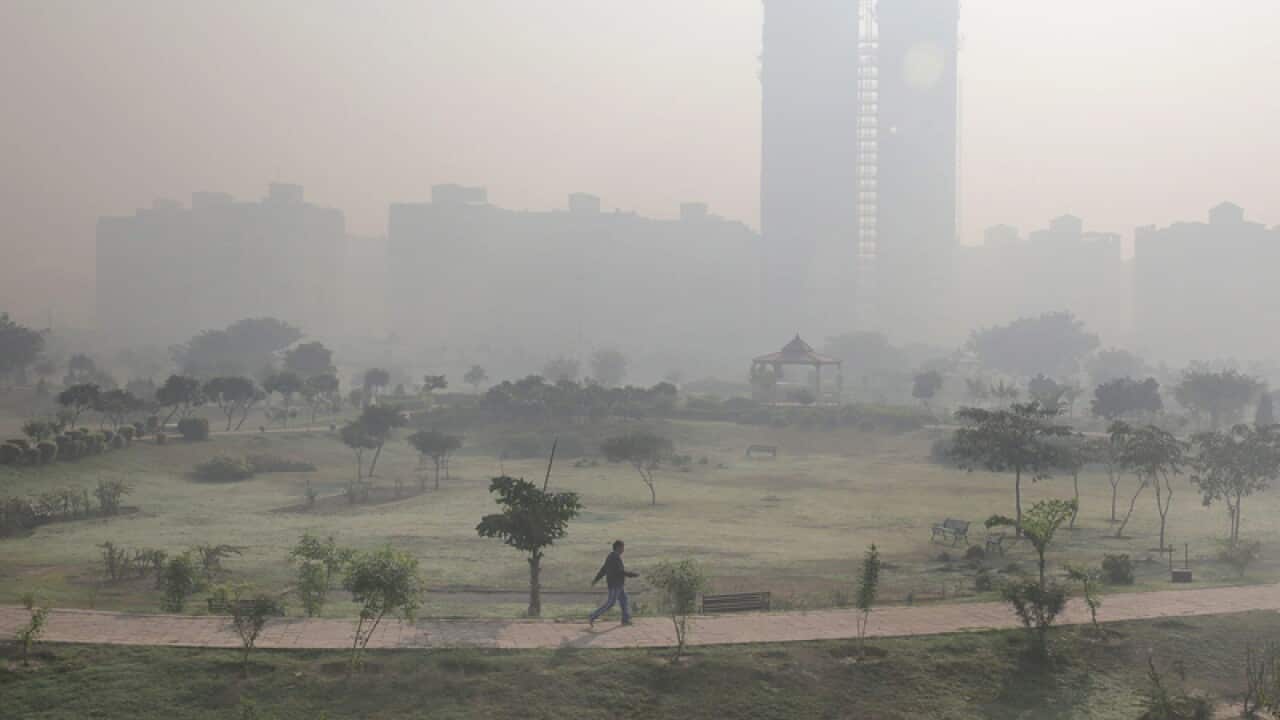 Indian man takes a morning walk in a public garden