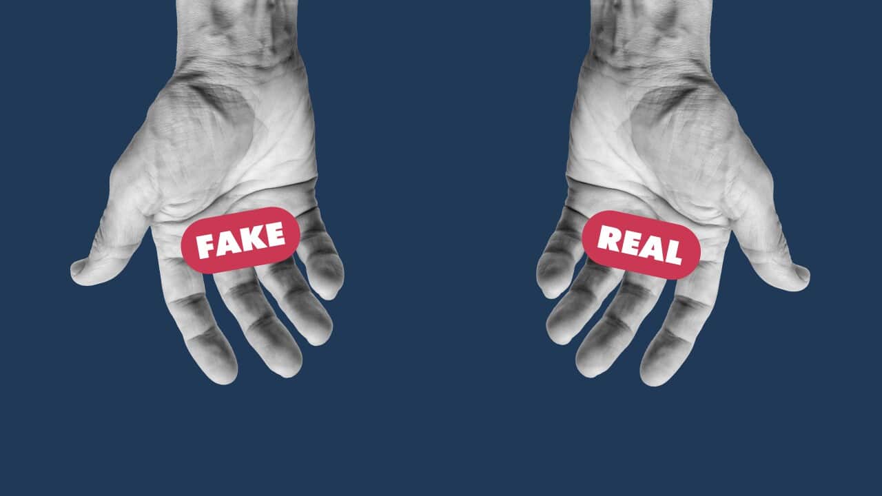 Fake or real.