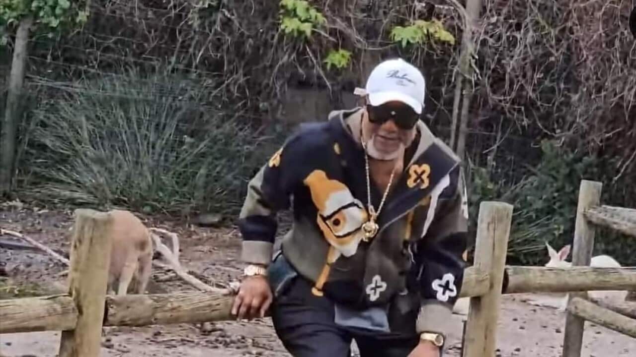 Koffi Olomide akutana na wanyama wa Australia.jpg