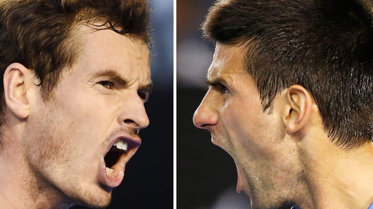 Andy Murray of Britain (L) and Novak Djokovic of Serbia (R)