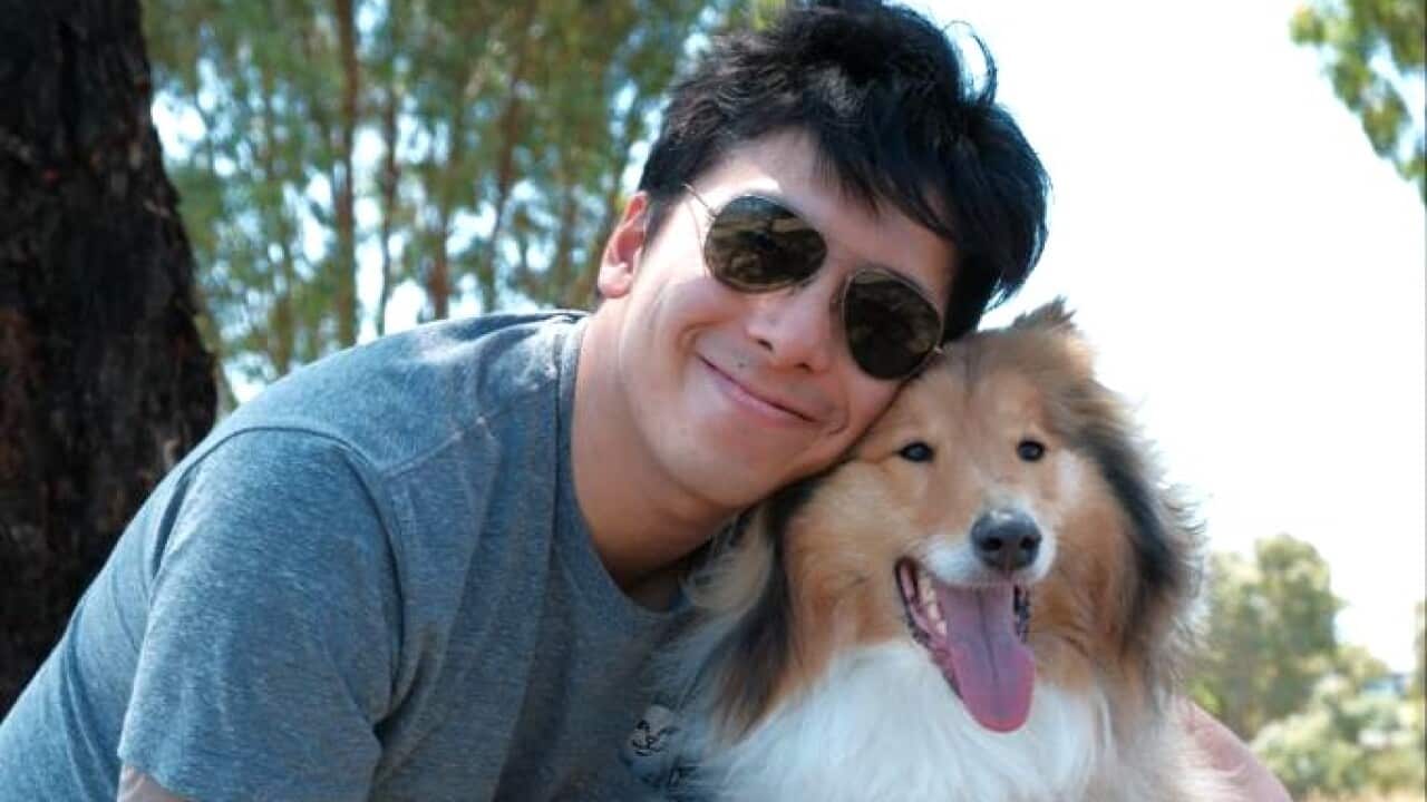 Image for read more article ''