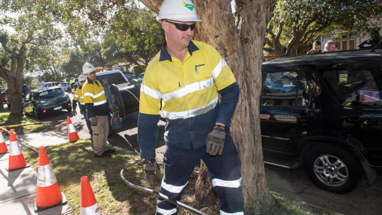 Workers roll out the NBN