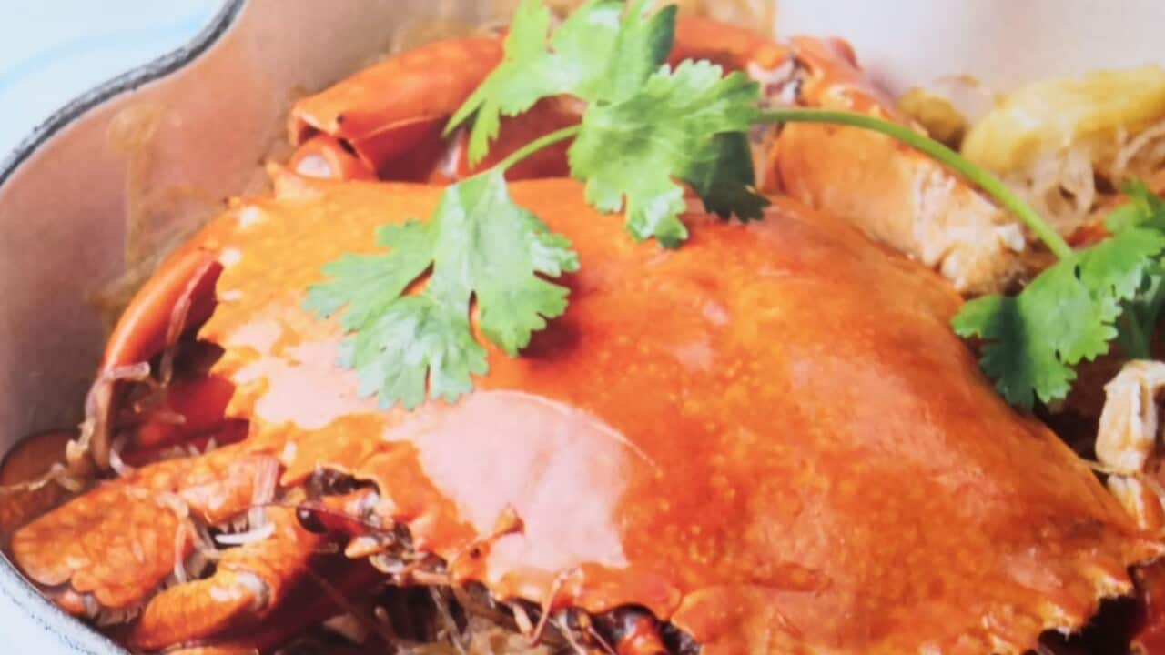 Image for read more article 'READ MORE'