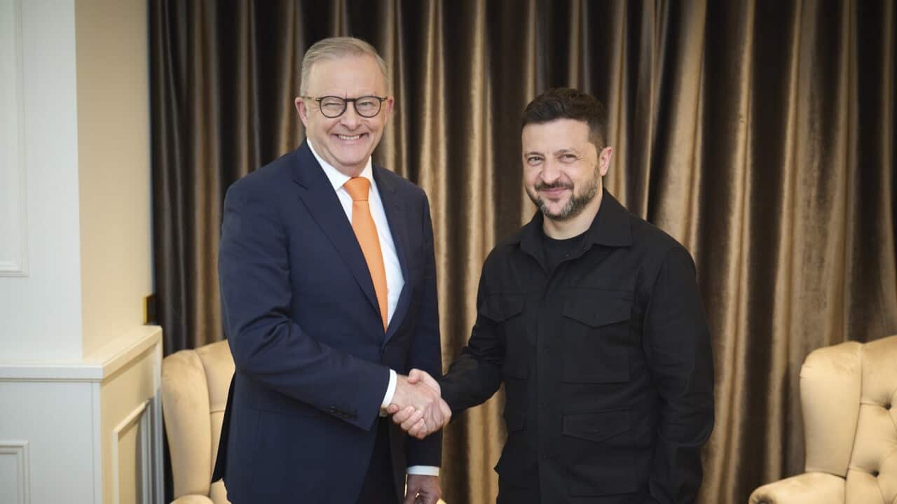 Ukraine's President Zelenskiy, Australian Prime Minister Albanese meet in Rome