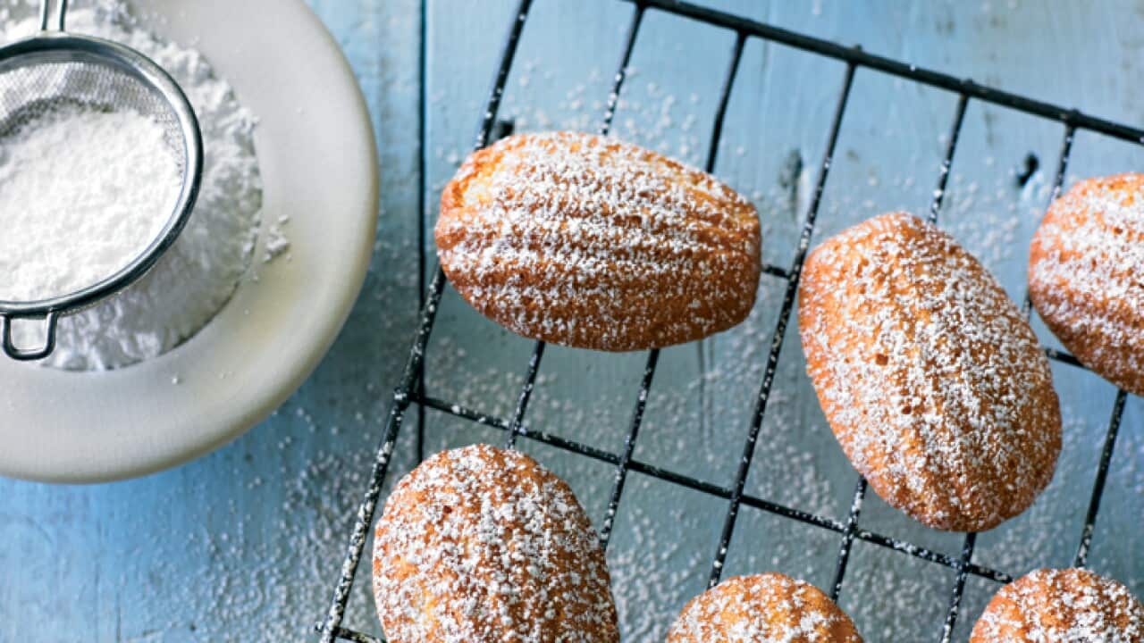 Madeleines.jpg