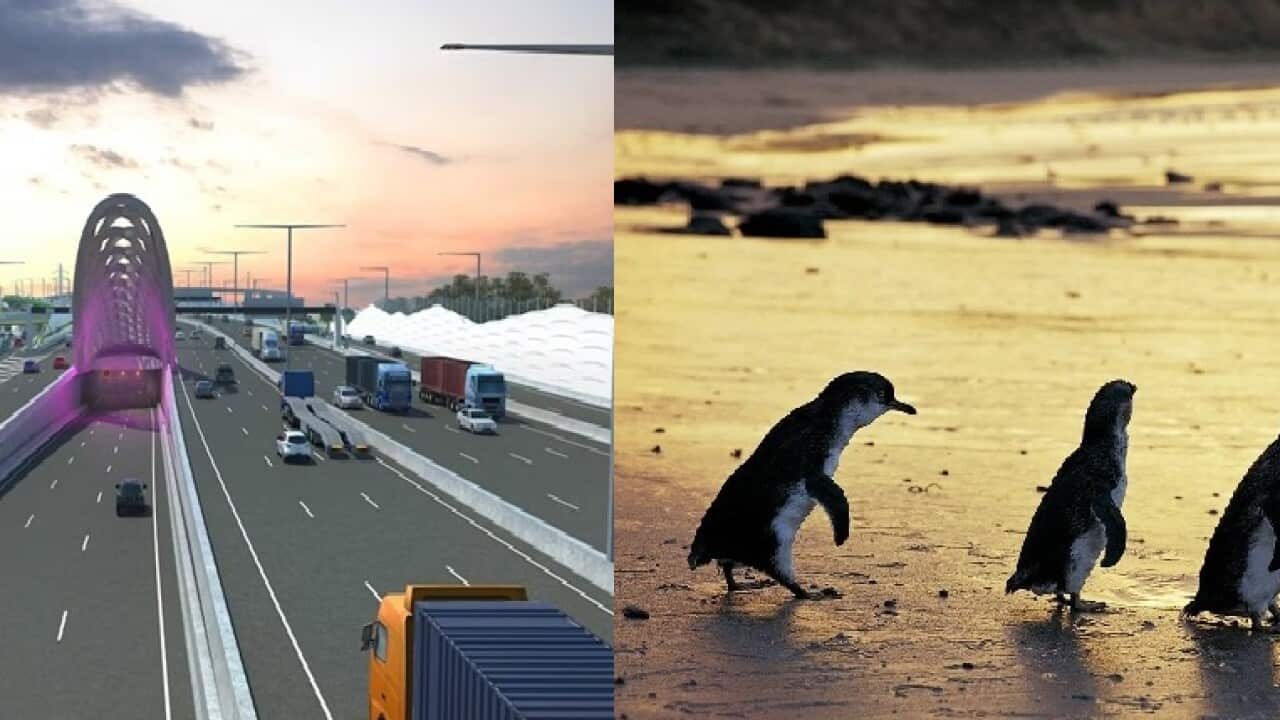 st kilda and west gate tunnel.jpg