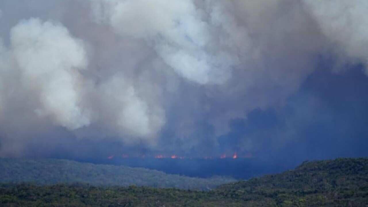 Sydney's Royal National Park will remain closed after a fire tore through bushland on Saturday.