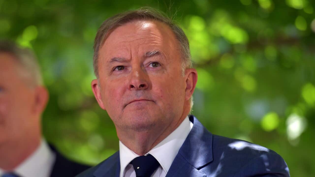 Leader of the Opposition Anthony Albanese.