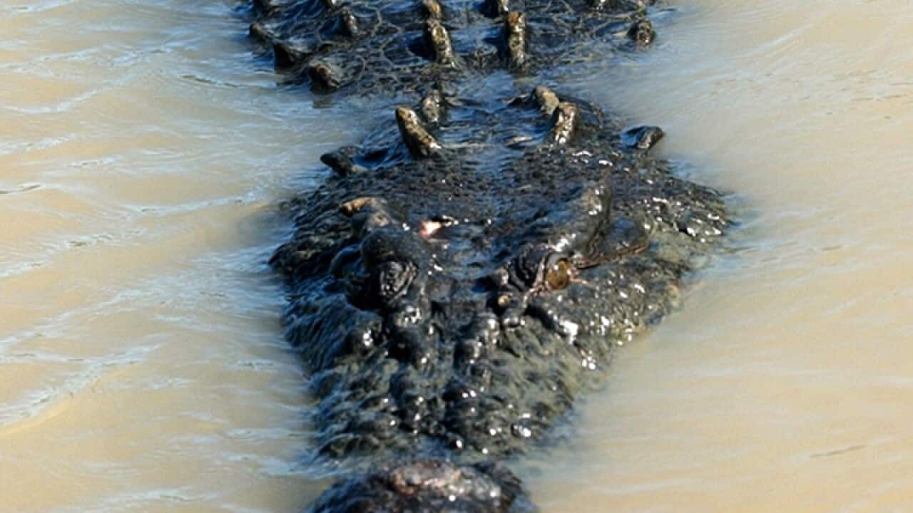 Image for read more article 'Related'