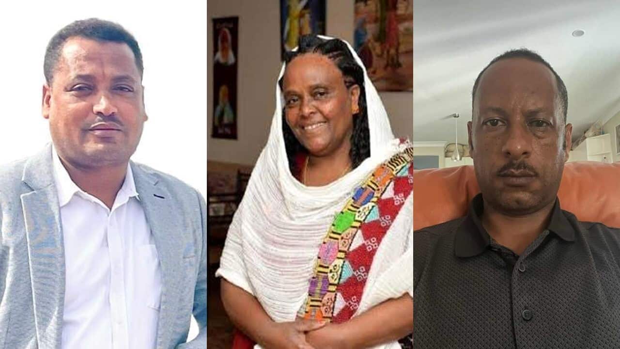 Efrem Teklai, Saba Abrham, Mulueberhan Abebe
