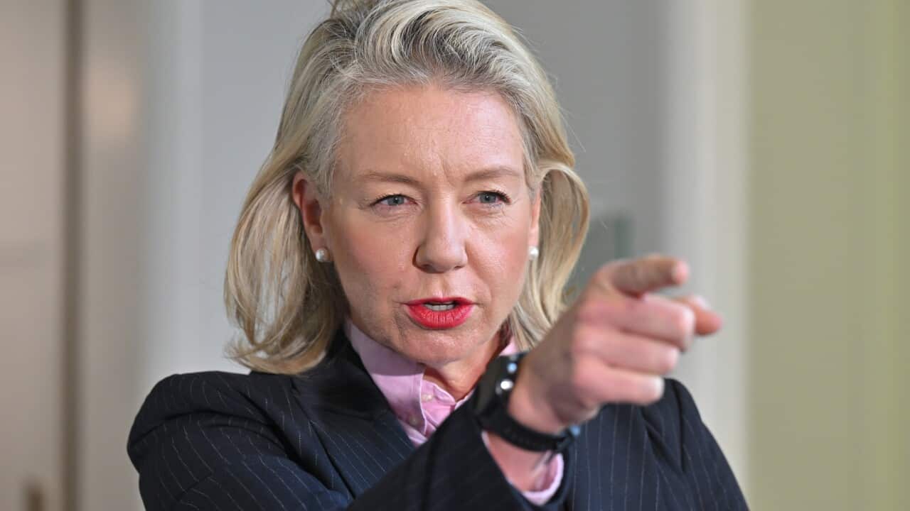 BRIDGET MCKENZIE PRESSER