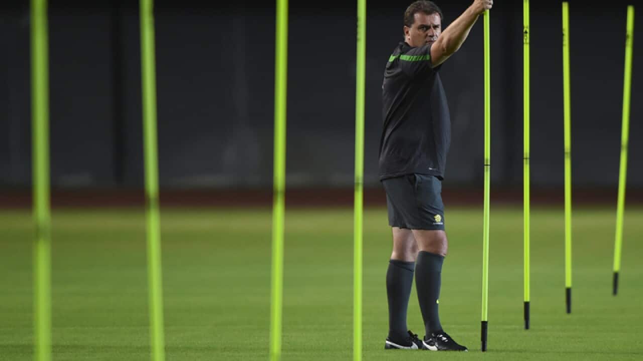 Socceroos coach Ange Postecoglou