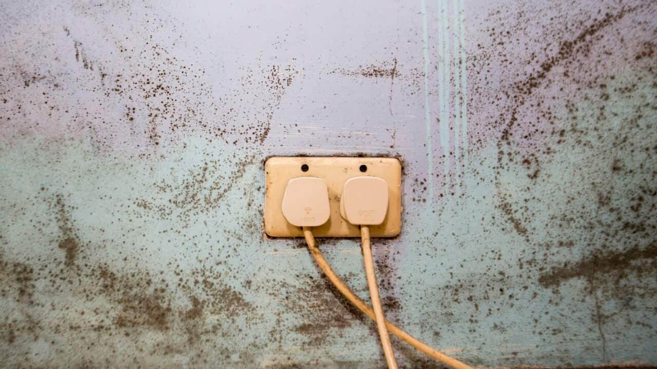 UK - Sustainable Living - Fuel Poverty