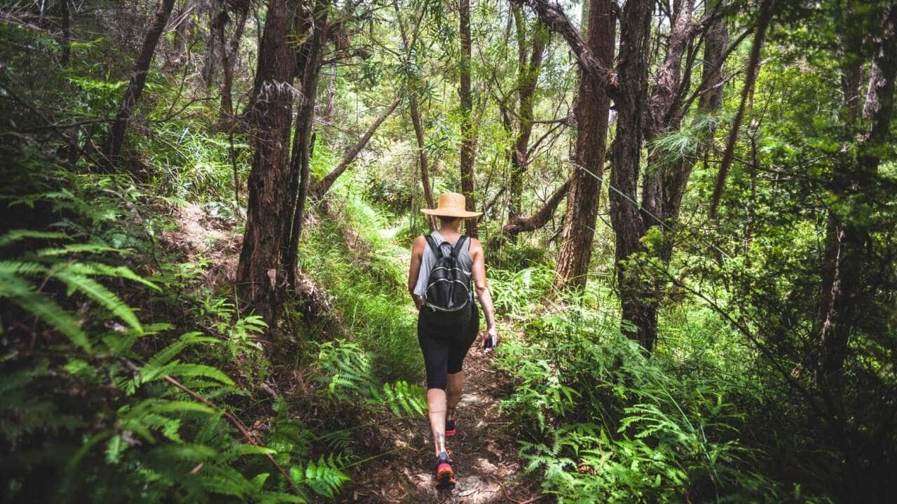 Bush Walking