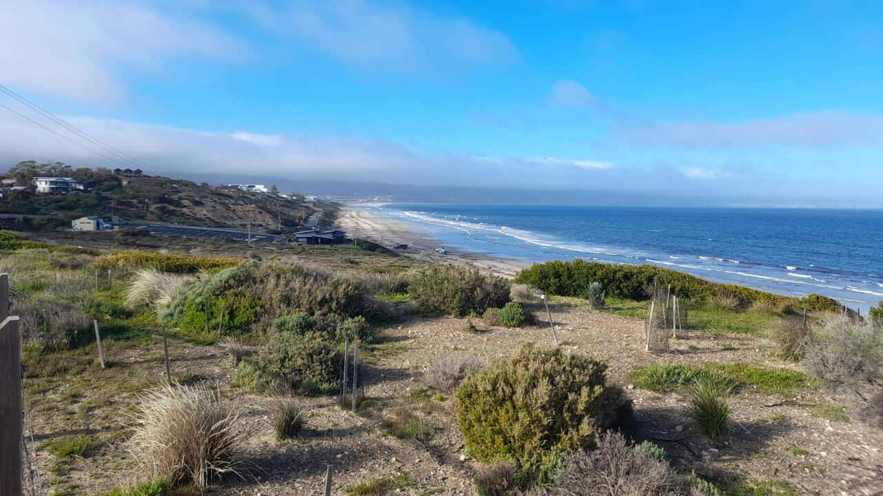 Aldinga Beach (SA)