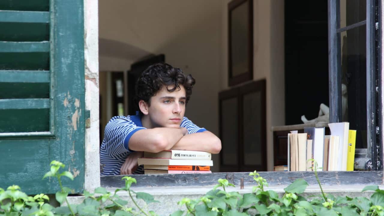 Call Me by Your Name Timothée Chalamet