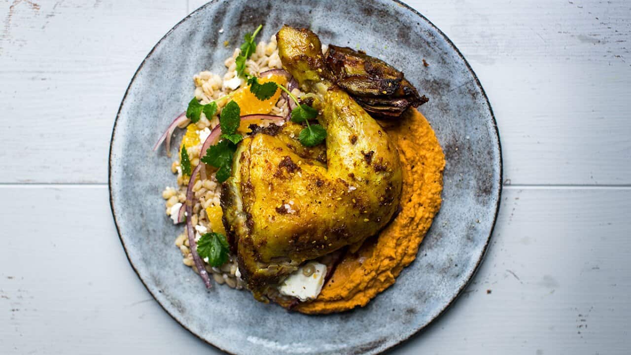 Turmeric and ginger chicken with barley salad and hummus SBS Food