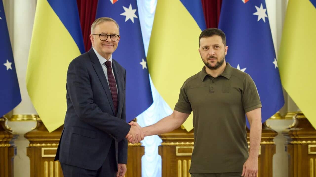 President of Ukraine Volodymyr Zelenskyy held a meeting with Prime Minister of Australia Anthony Albanese who visited Ukraine..