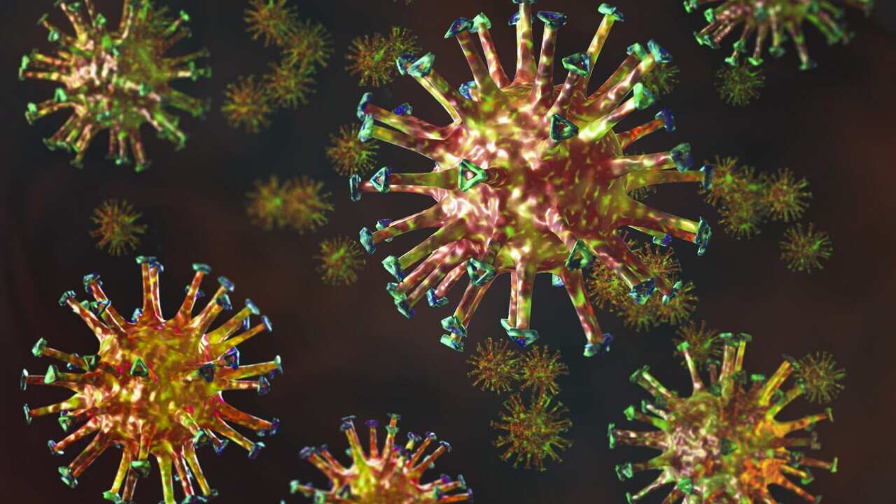 corona virus mutation 1