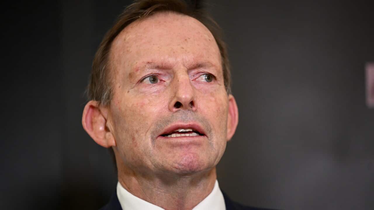 A man wearing a suit