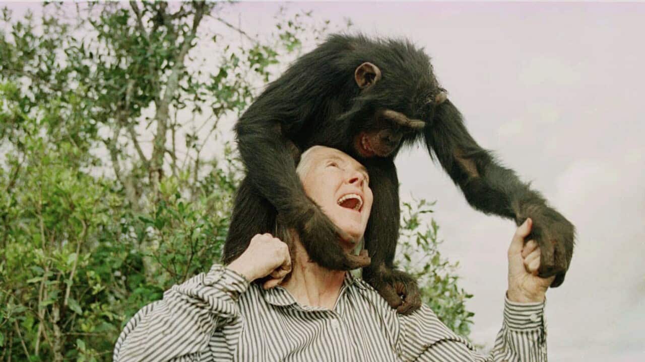 PLAYING WITH BAHATI