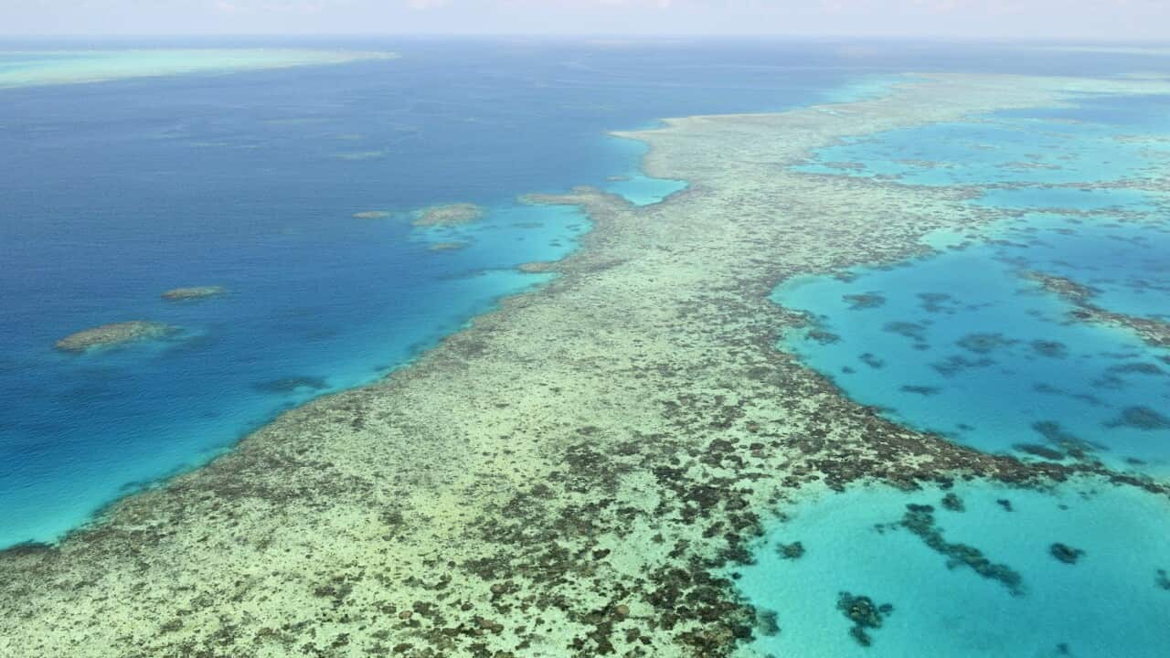 File photo shows the Great Barrier Reef off the northeastern coast of Australia in December 2017. (Kyodo)==Kyodo