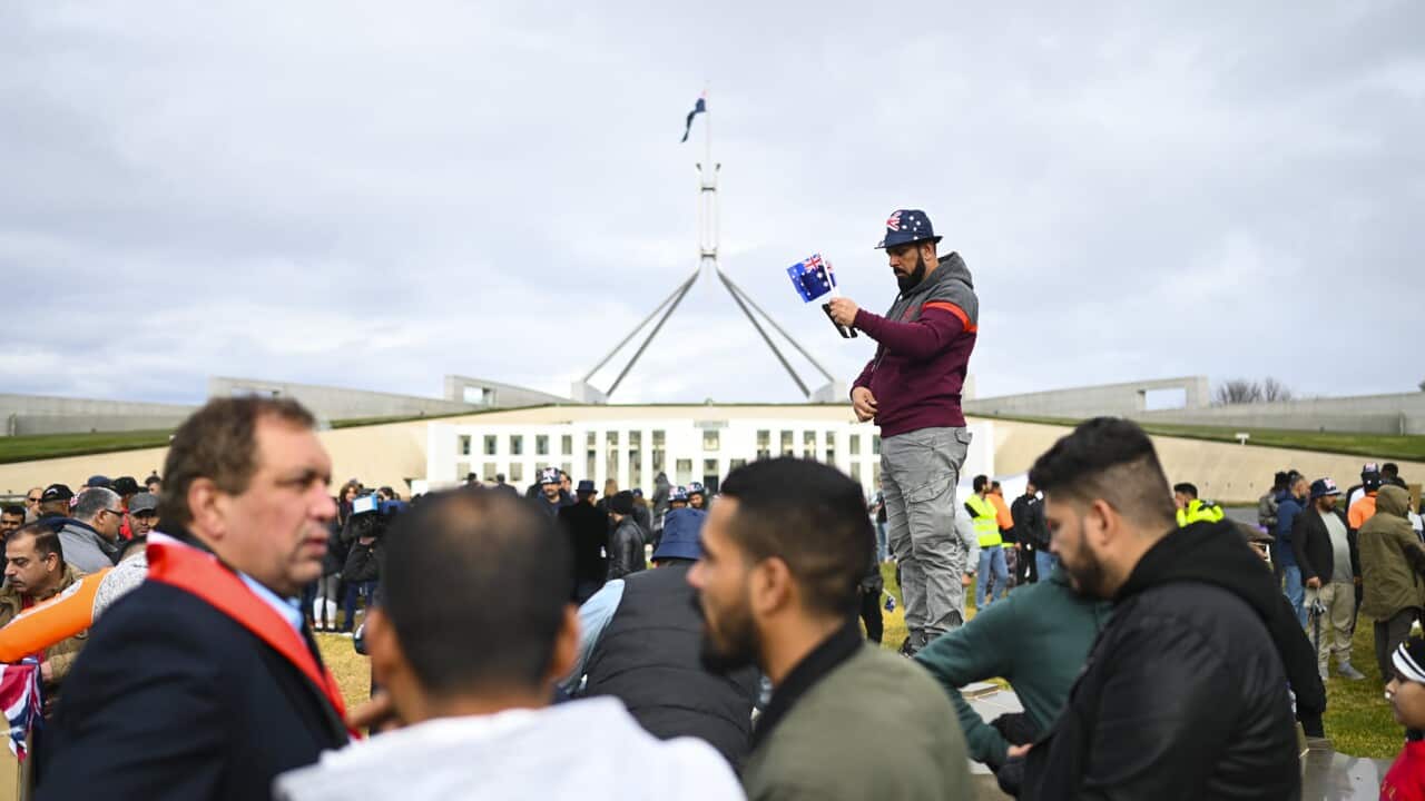 A visa protection protest held at Parliament House (AAP).jpg