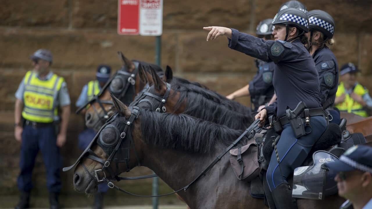 Police riding horses and pointing at something.
