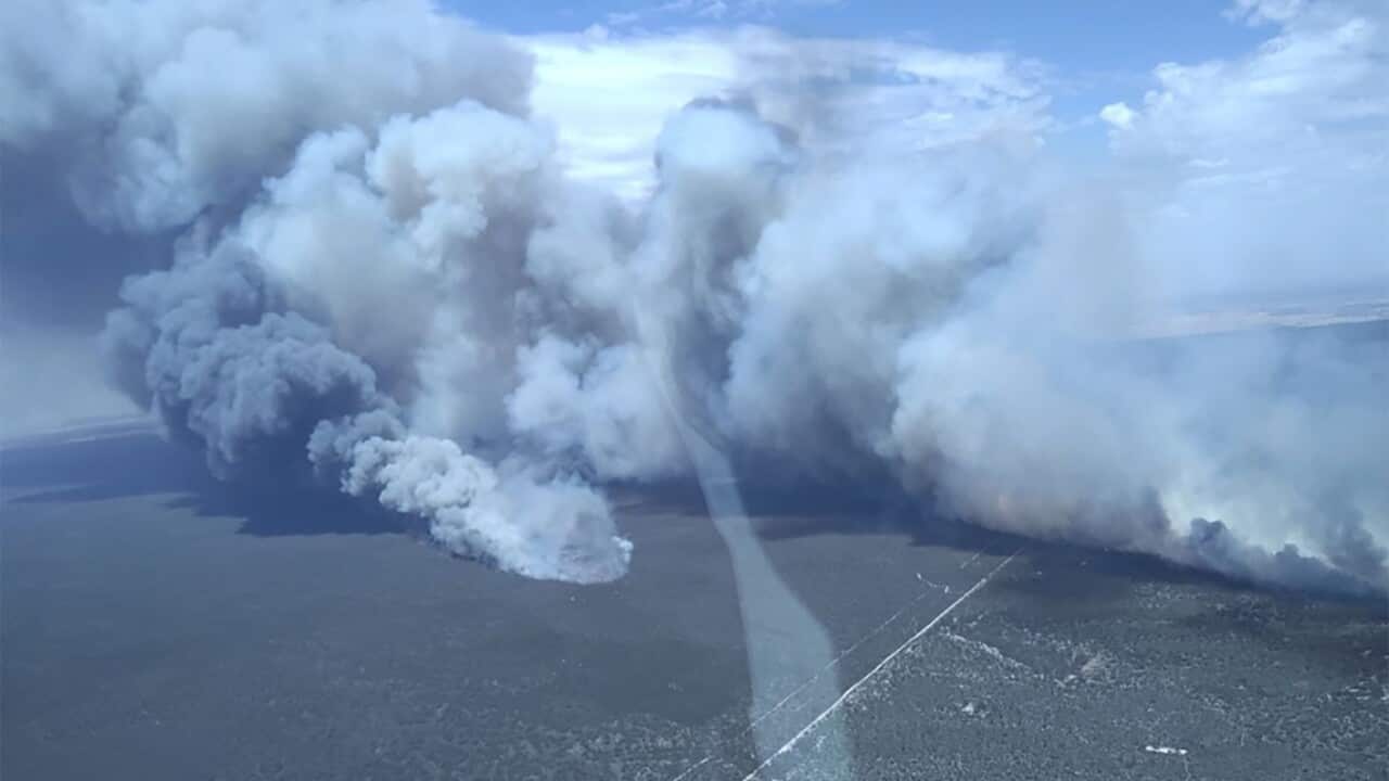 Image for read more article ''