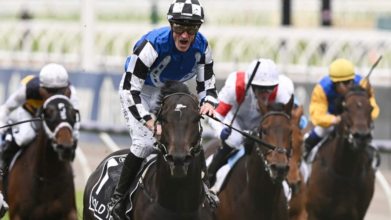 Image for read more article ''