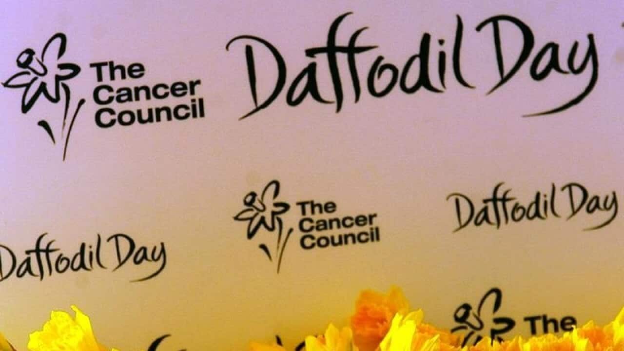 Daffodil Day