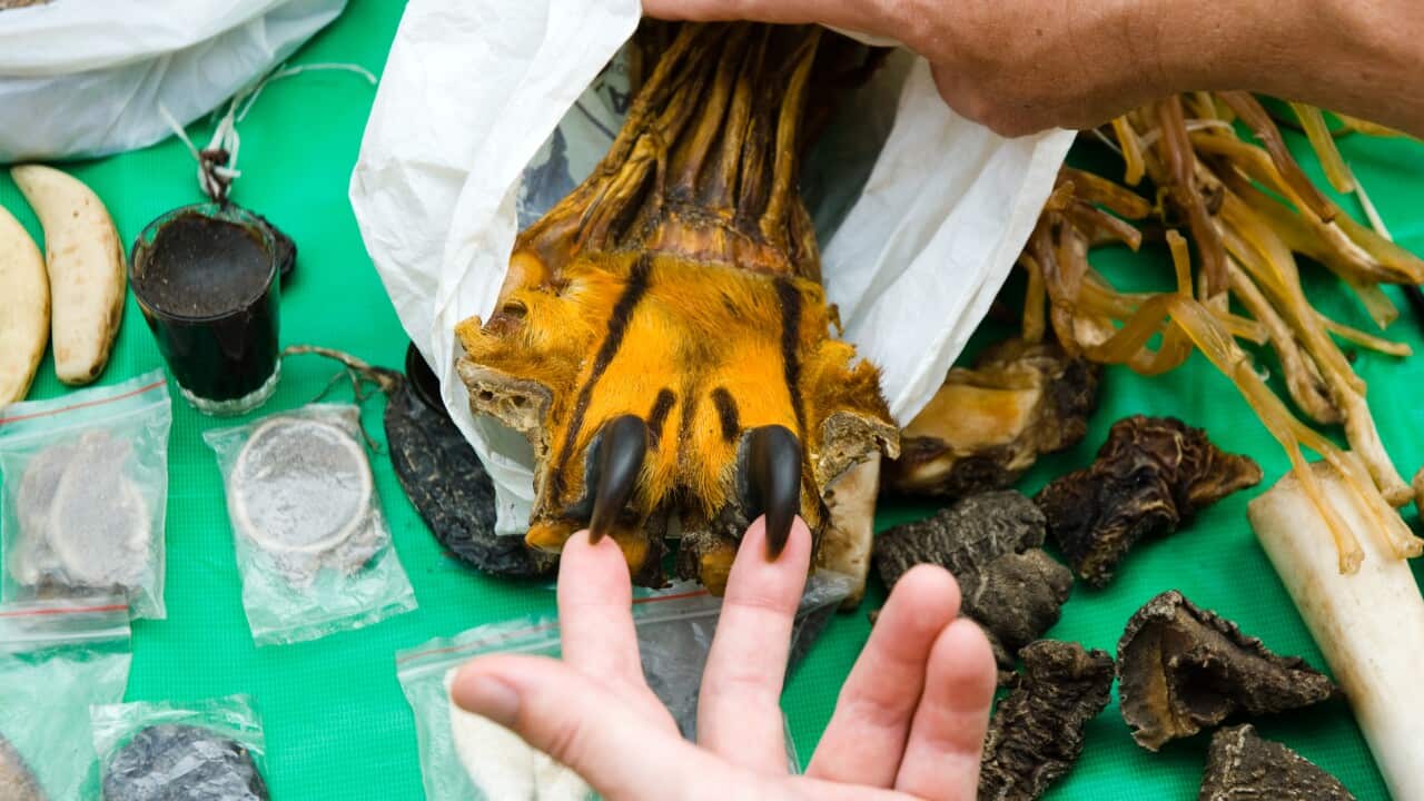 Image for read more article ''