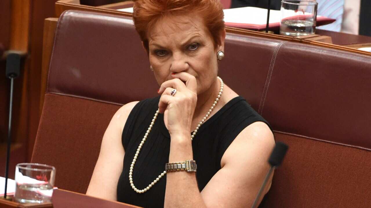 One Nation leader Senator Pauline Hanson