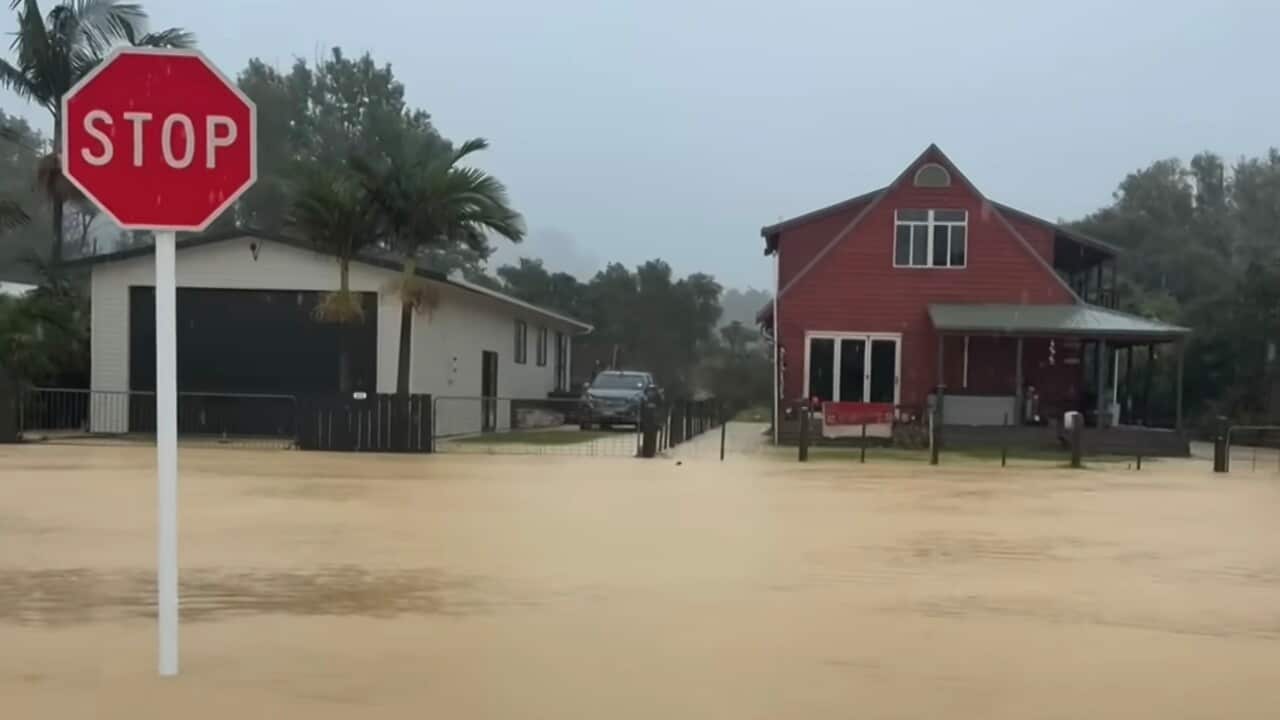 NZ FLOODS