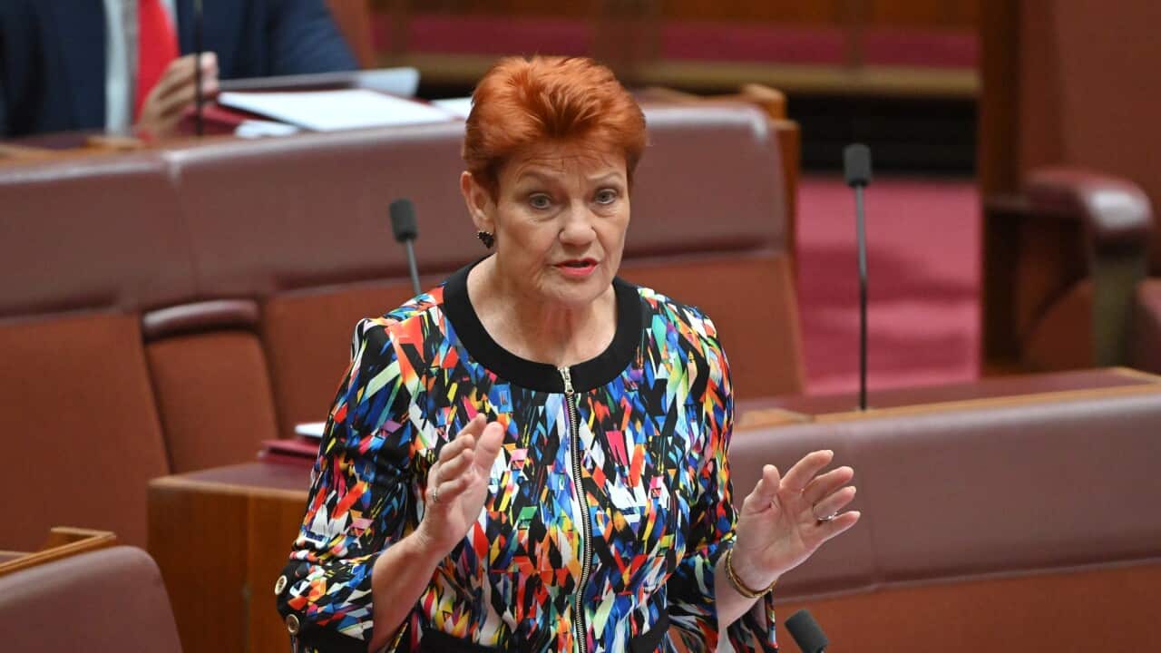 PAULINE HANSON SENATE