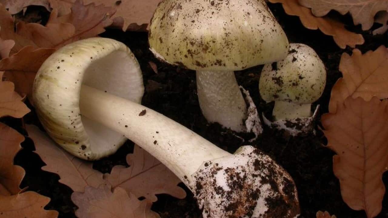 Image for read more article 'Read more'