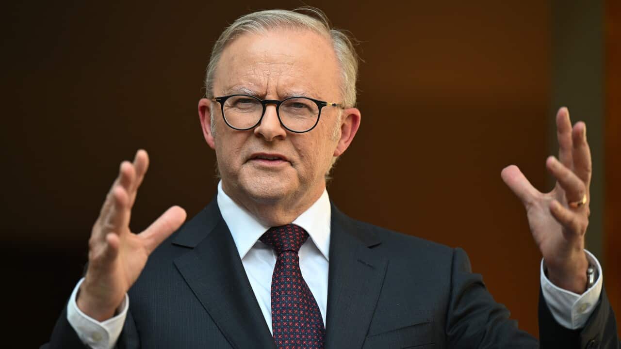 ALBANESE ROYAL COMMISSION ANNOUNCEMENT