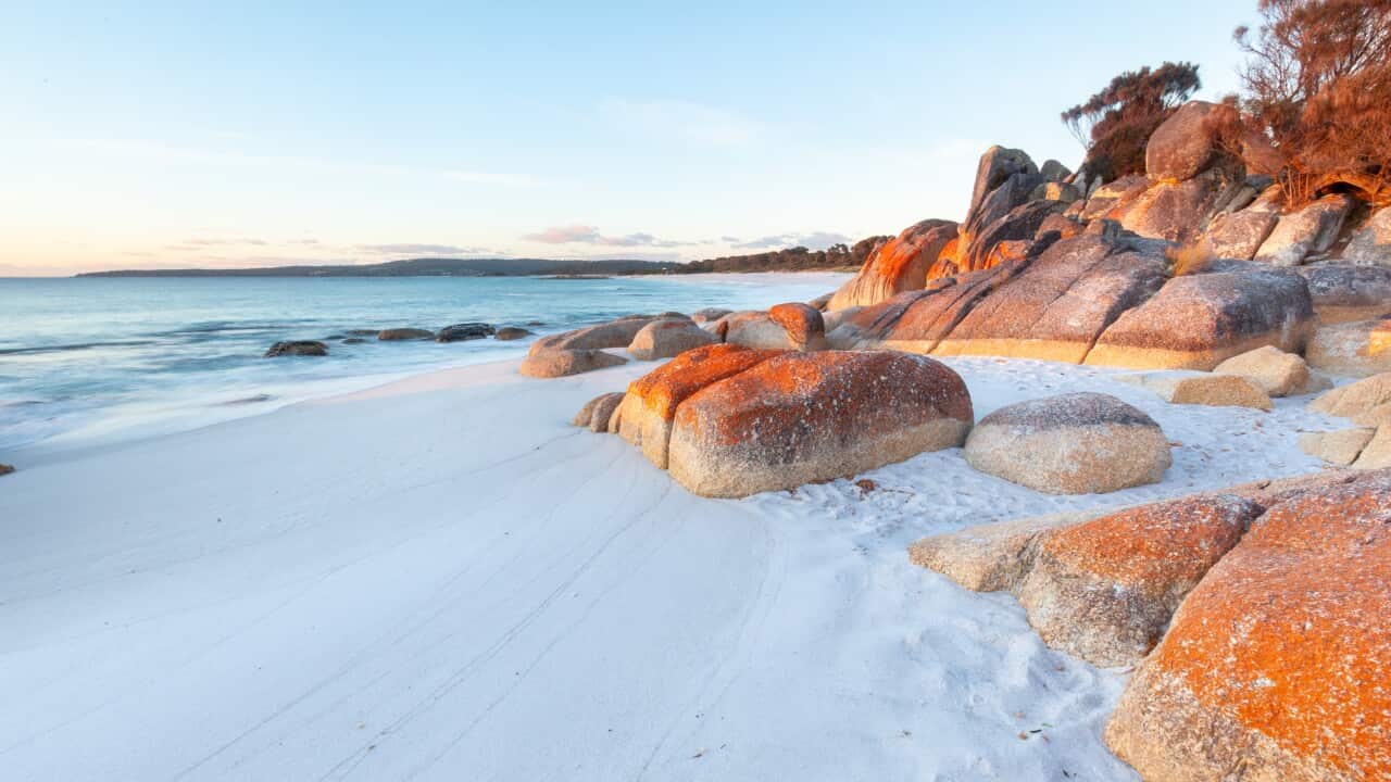 Red lichen covered rocks on a white sandy beach.