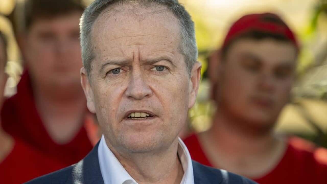 Bill Shorten: "this government is really bungling it".