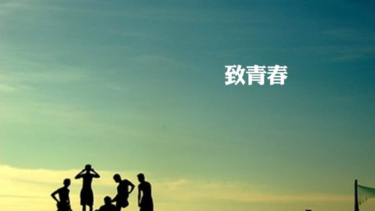 v1paper.com