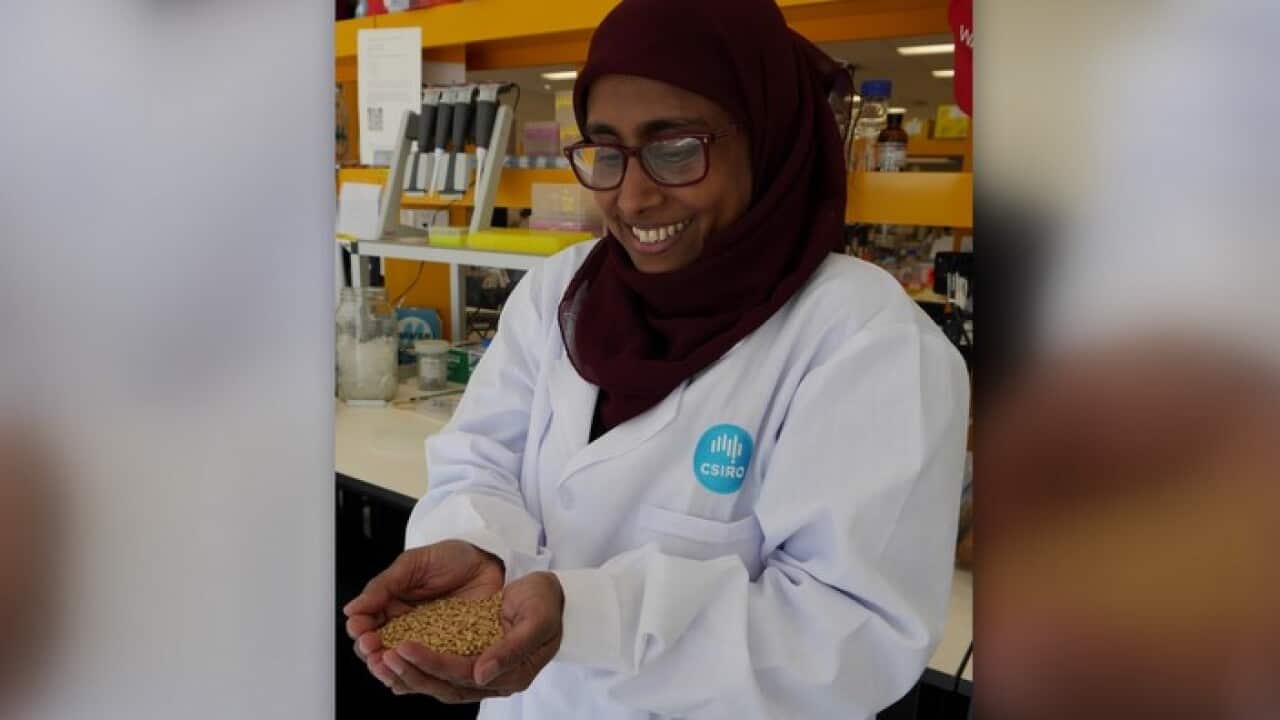 Dr. Regina Ahmed