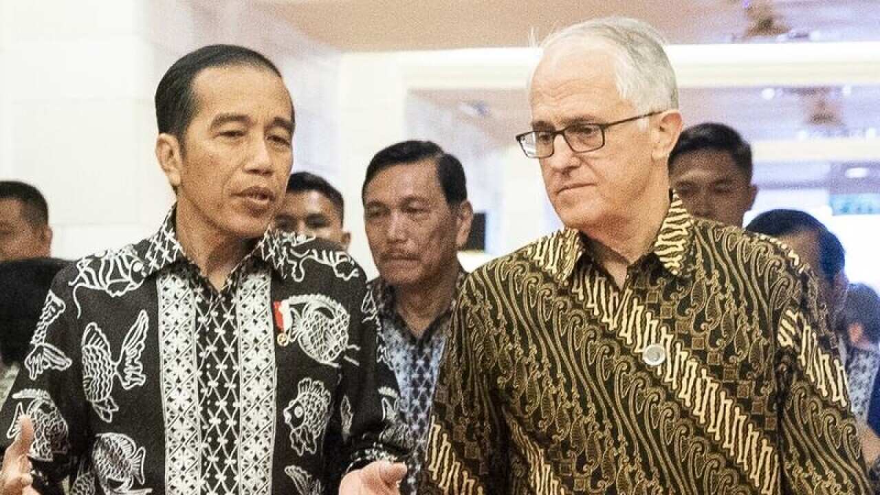 Indonesia President Joko Widodo and Malcolm Turnbull