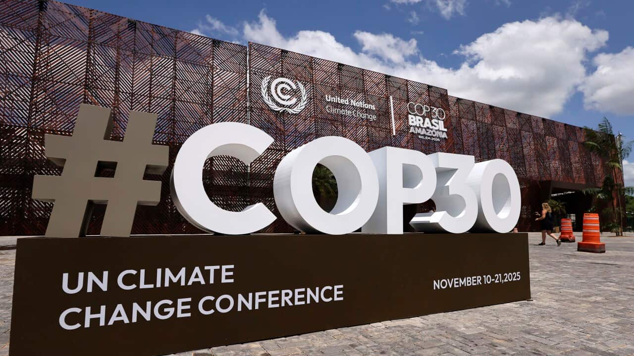 COP30 Brazil Amazonia 2025 - Previews