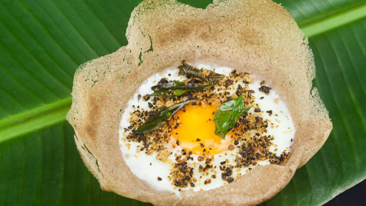 Egg hopper