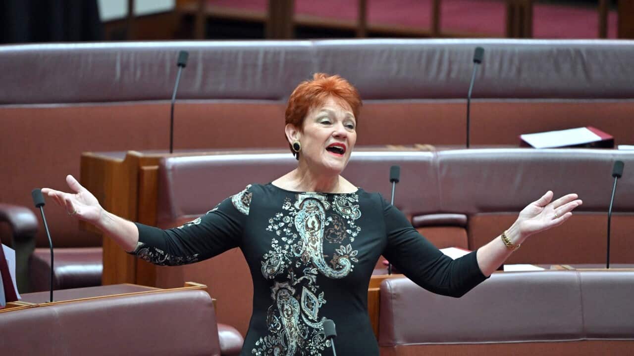 PAULINE HANSON SENATE
