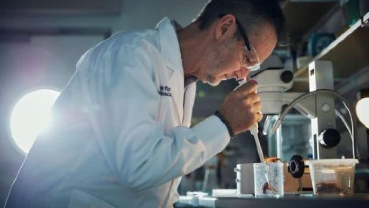 Image for read more article 'READ MORE'