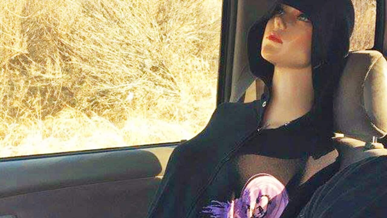 Police Department shows a mannequin in the passenger seat