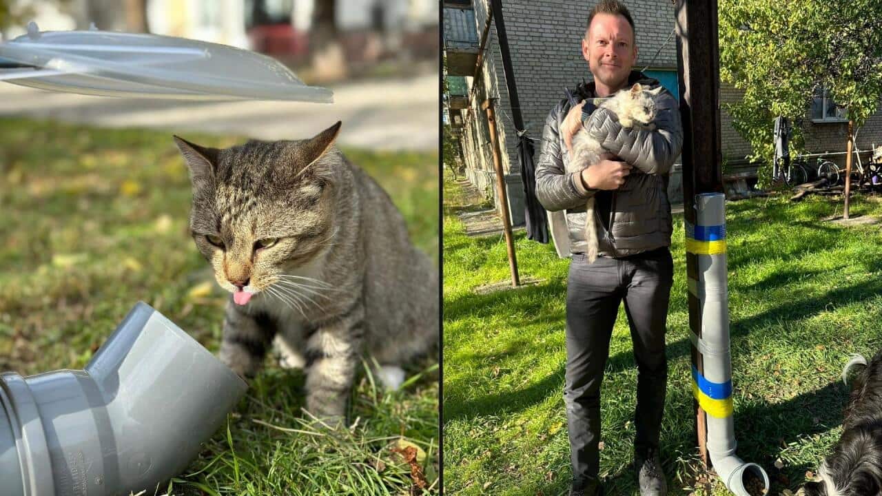 Composite image with a close-up of a cat eating out of a feeder on the left, and a man standing up holding a cat on the right.