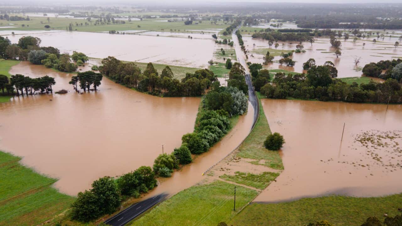 WILD WEATHER VICTORIA